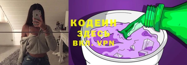 эйфоретик Вяземский